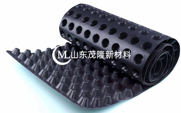 塑料排水板 第1张