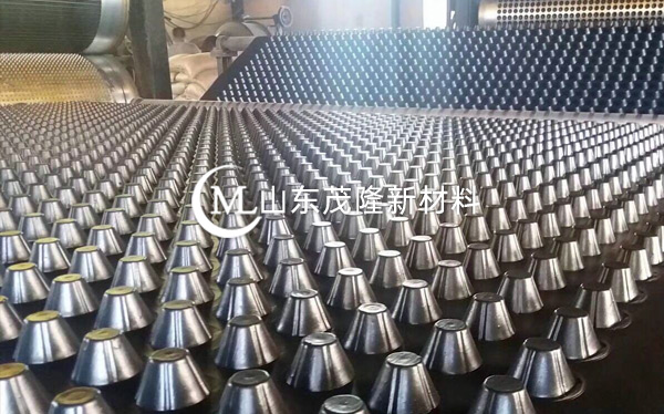 塑料排水板 第2张