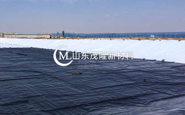 《衡水主城区生态修复工程》土工布、复合土工布施工