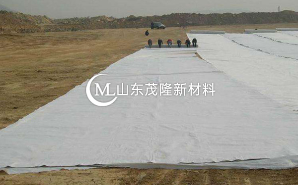 《天府机场TJ6标》土工格栅、土工布、排水板施工