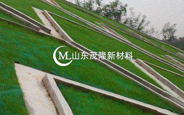 《都匀至安顺公路项目》土工格栅、三维植被网施工