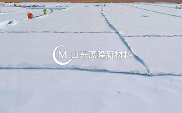 《台辉高速》土工布、土工格栅施工