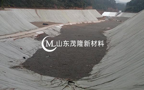 《东方环?？萍加邢薰尽吠凉げ?、土工膜施工