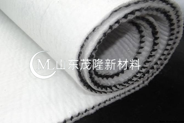 复合排水网厂家/三维复合排水网厂家 第3张