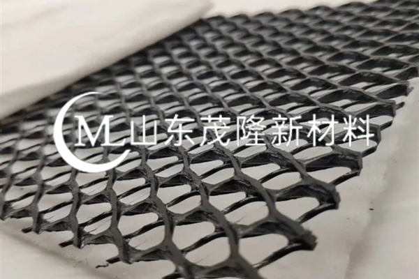 复合土工排水网/复合三维排水网 第2张