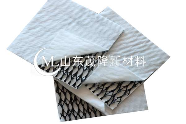 复合土工排水网/复合三维排水网 第3张