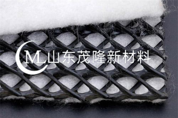 土工复合排水网/三维复合土工排水网  第5张