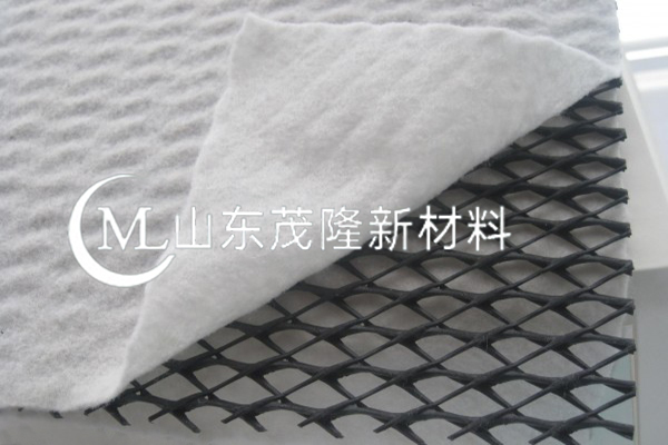 三维土工网/三维排水网 第1张