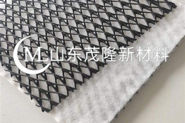 复合排水网/复合排水网 第5张