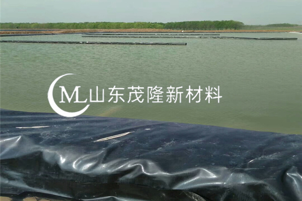 人工湖土工膜 第1张