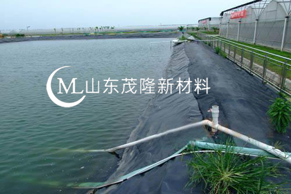 鱼塘防渗膜 第2张