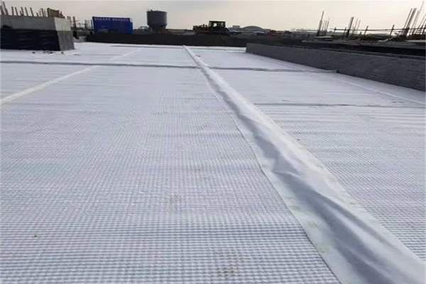 复合排水网的优缺点全解析！