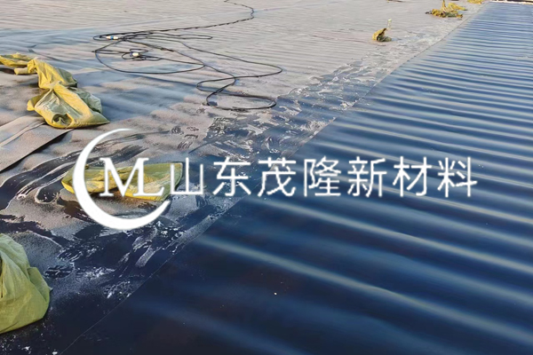 《盛虹炼化一体化项目》土工膜施工