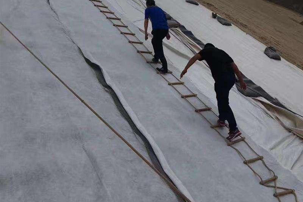 三维复合排水网怎么解决渗滤液淤堵