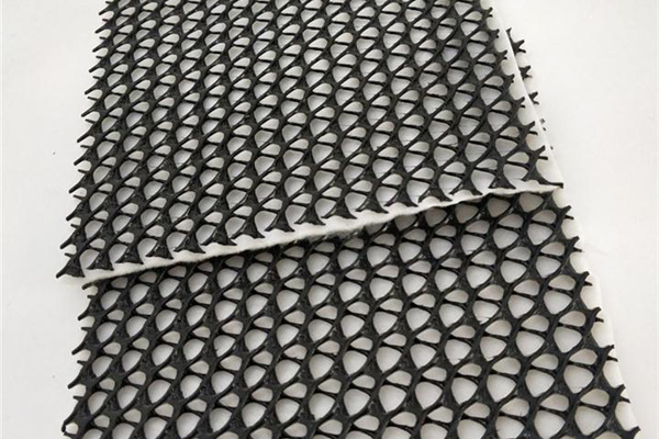 怎么判断三维复合排水网的质量优劣 第1张