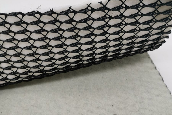 三维复合排水网在堤防工程中的应用  第1张